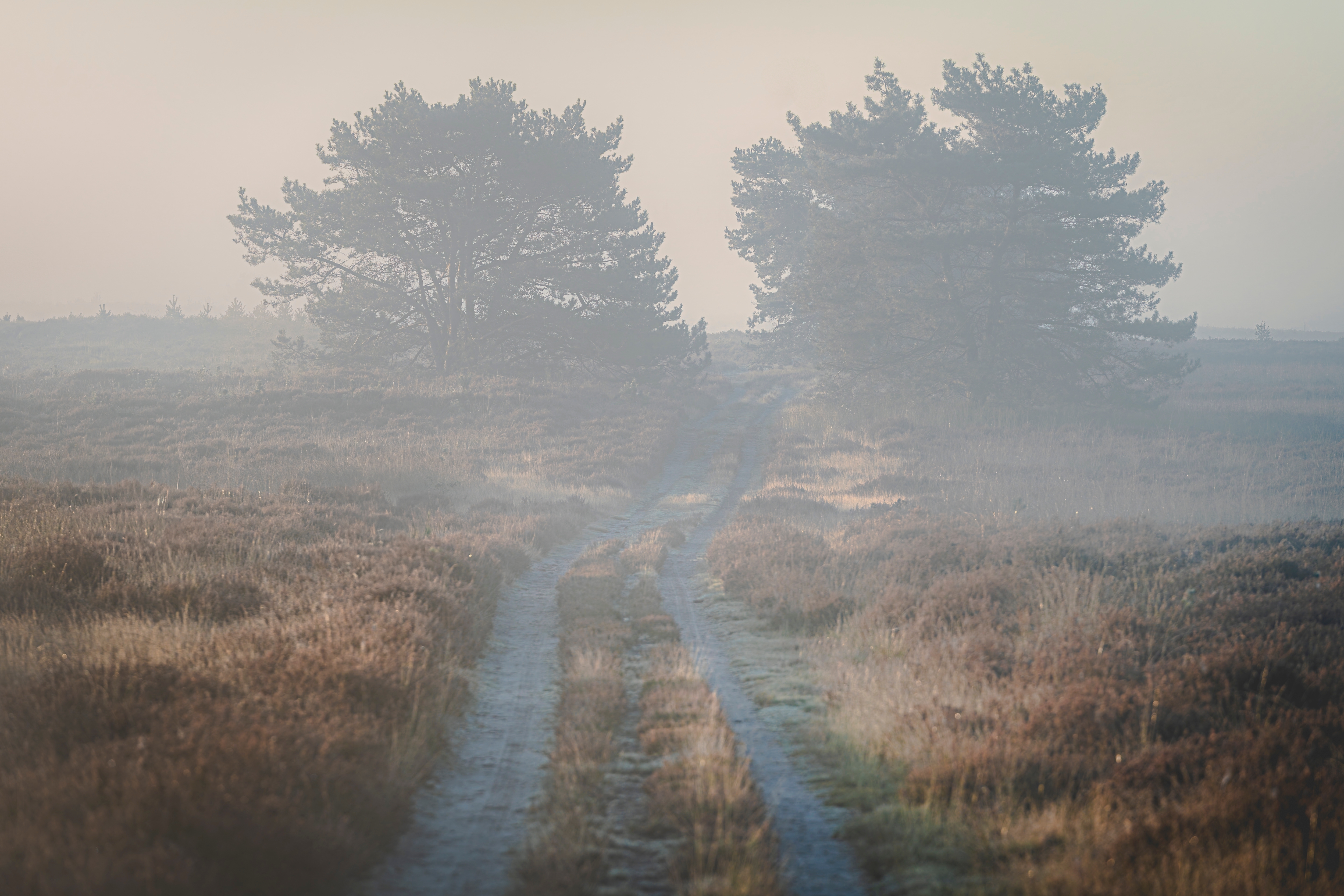 תכינו את עצמכם, אובך מגיע: תחזית מזג האוויר 