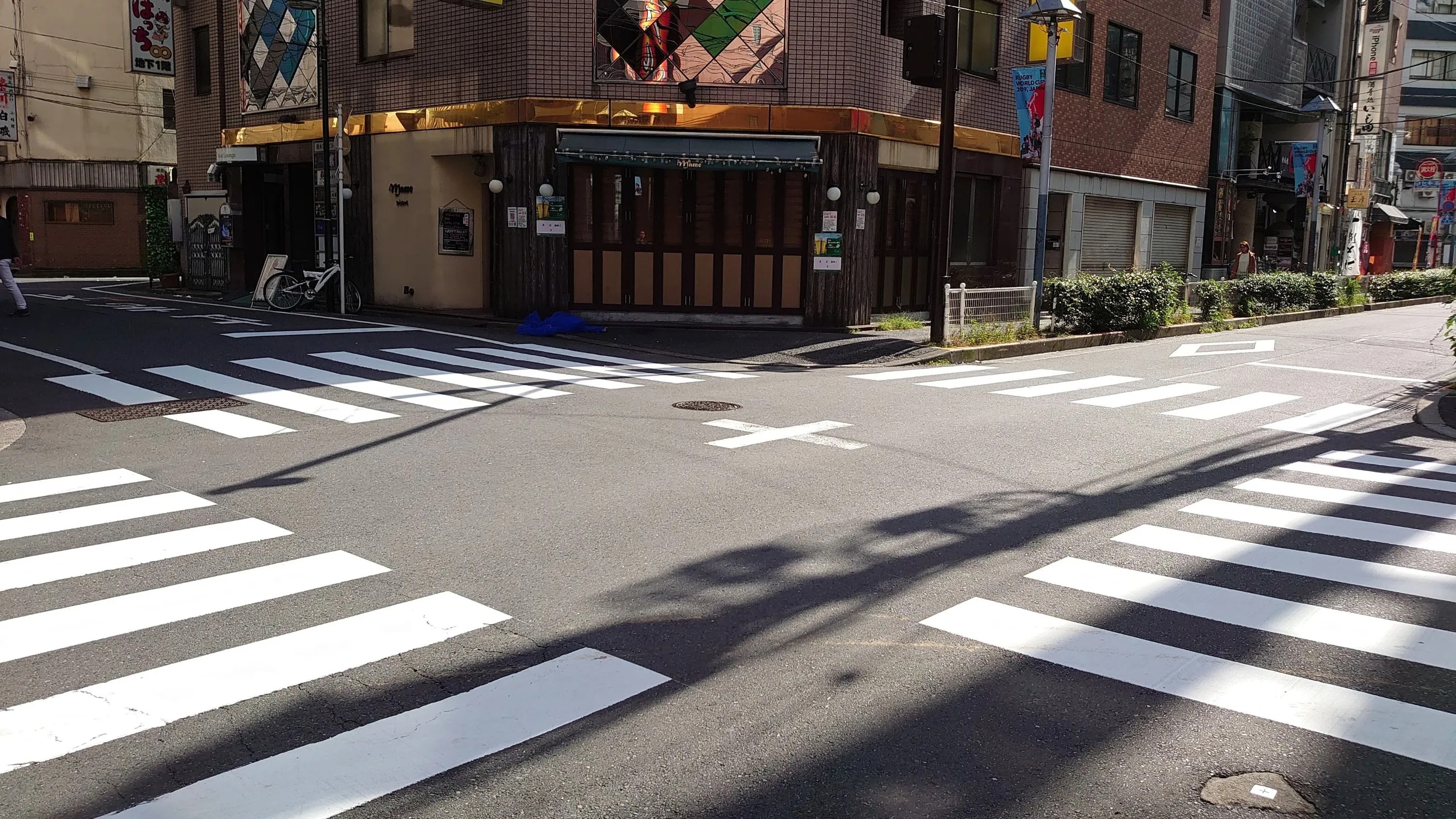 מכת הכבישים: כ-9,000 בני אדם נפצעים בצמתים בכל שנה