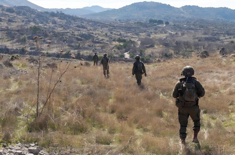 פעילות הכוחות בהר דב. צילום: דובר צה"ל