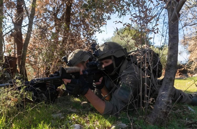 פעילות הכוחות בהר דב. צילום: דובר צה"ל