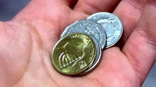 הסגולה העוצמתית של ט"ו בשבט: כך תזכו לברכה ושפע לכל השנה!
