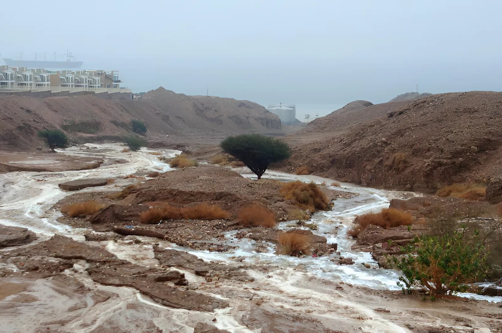 הסופה לקראת סיום, אבל גם היום יהיה קר מאוד - וגשום