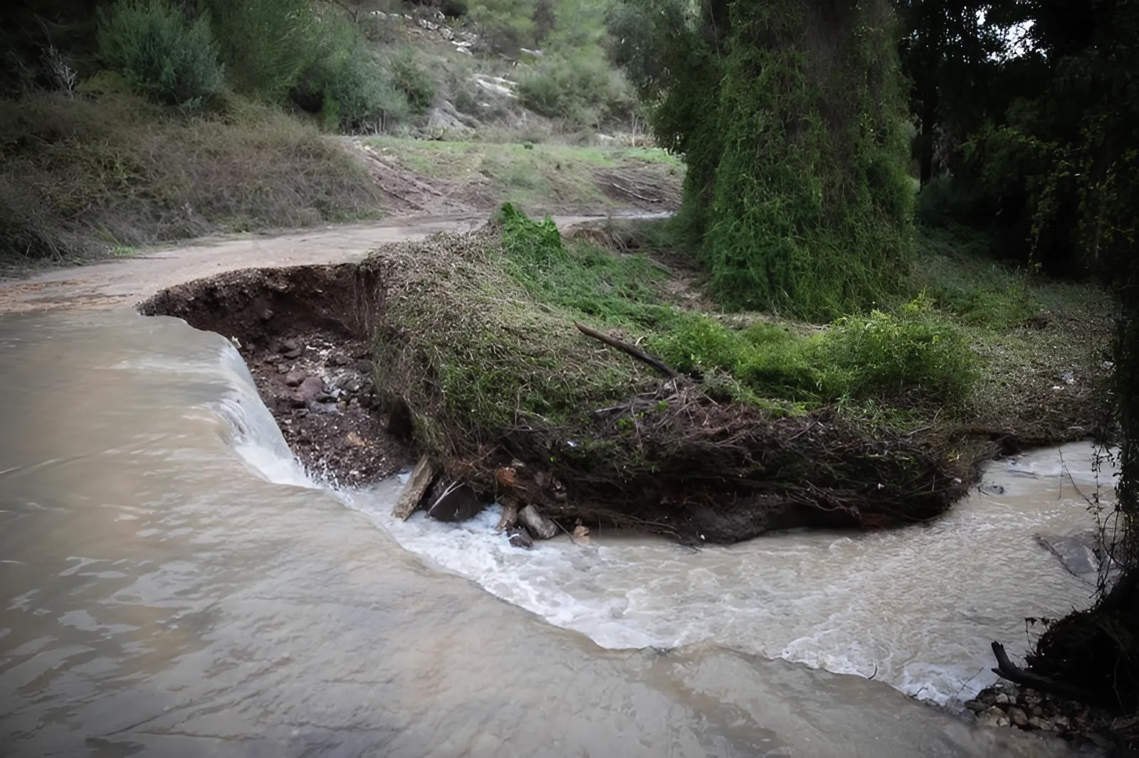 החורף מסרב לעזוב: עלייה קלה בטמפרטורות, אך הגשמים והרוחות עדיין איתנו