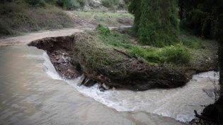החורף מסרב לעזוב: עלייה קלה בטמפרטורות, אך הגשמים והרוחות עדיין איתנו