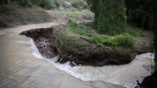 החורף מסרב לעזוב: עלייה קלה בטמפרטורות, אך הגשמים והרוחות עדיין איתנו