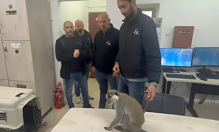 (צילום: דוברות המשטרה)