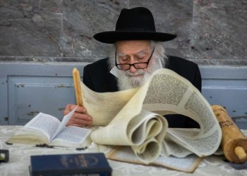 מדריך: עד מתי אפשר לקרוא את מגילת אסתר, בלילה וביום