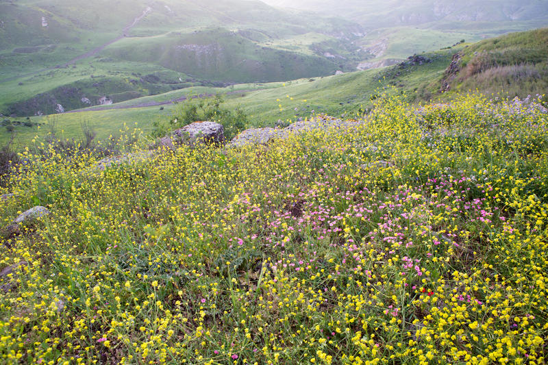 יום הניקיון הארצי: ירידה של 60,000 טון בכמות הלכלוך ברחבי המדינה