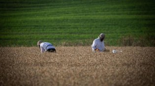 הלכות ספירת העומר: מה עושים אם שכחנו, והאם מותר לנשים לברך?