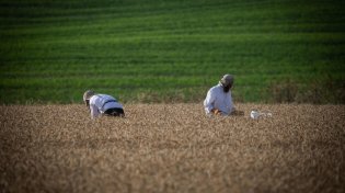 הלכות ספירת העומר: מה עושים אם שכחנו, והאם מותר לנשים לברך?