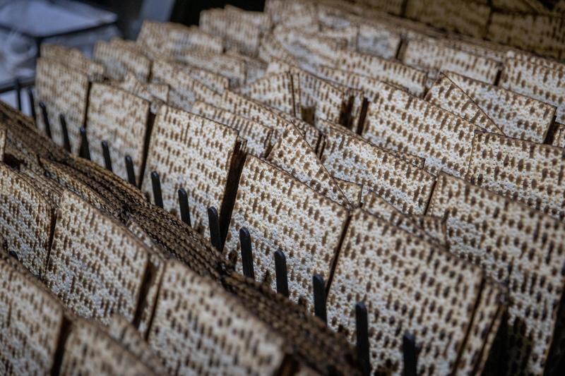 רגע לפני פסח: איפה כדאי לכם לקנות, ואילו מוצרים התייקרו? 