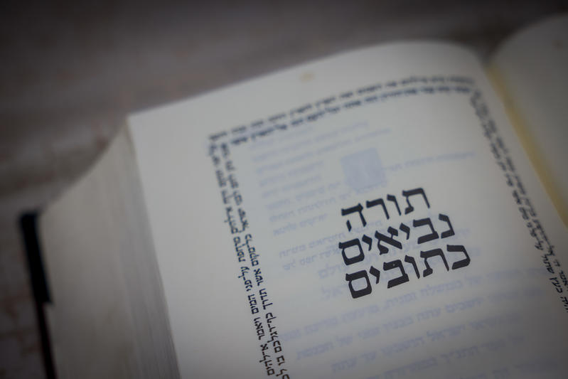 "סמל לנצחיות העם היהודי": אב החטוף ישפוט בחידון התנ"ך העולמי