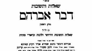 "הקהילה בגטו? אני בגטו": עמוד ההלכה "דבר אברהם" שנפטר מכאב על עמו 