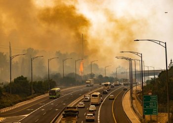 מערך הכבאות קבע: השריפה בשפלת יהודה - מעשה ידי אדם מערך הכבאות קבע: השריפה בשפלת יהודה - מעשה ידי אדם