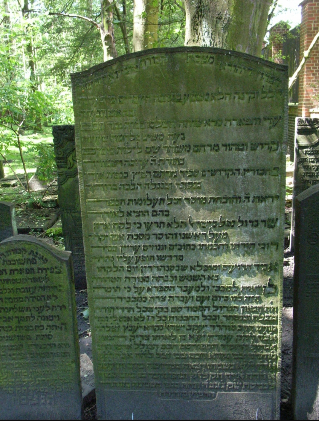 הילולת היעב"ץ, רבי יעקב עמדין: מגדולי הלוחמים נגד השבתאות