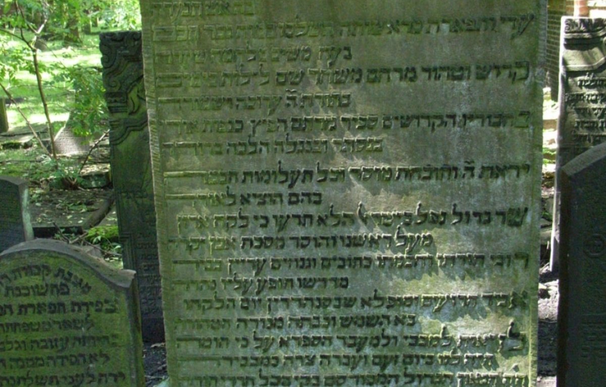 הילולת היעב"ץ, רבי יעקב עמדין: מגדולי הלוחמים נגד השבתאות