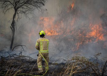 שריפות אדירות בהרי ירושלים ובמרכז: ישראל מבקשת סיוע בינלאומי ומפנה יישובים שריפות אדירות בהרי ירושלים ובמרכז: ישראל מבקשת סיוע בינלאומי ומפנה יישובים
