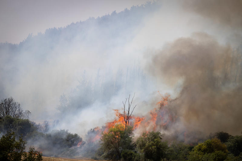 120 צוותי כיבוי, 11 מטוסים וכוחות בינלאומיים: ישראל במלחמה מול השריפות האדירות