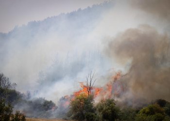 120 צוותי כיבוי, 11 מטוסים וכוחות בינלאומיים: ישראל במלחמה מול השריפות האדירות