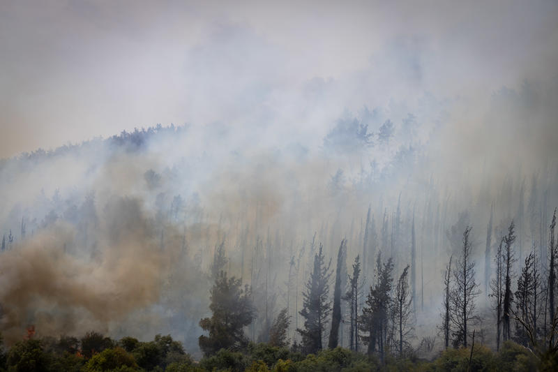 שריפות הענק גורמות לביטול רוב אירועי יום העצמאות ברחבי הארץ שריפות הענק גורמות לביטול רוב אירועי יום העצמאות ברחבי הארץ
