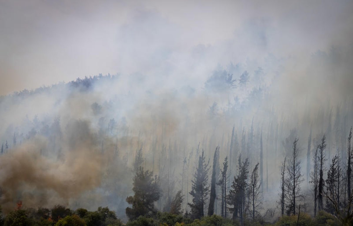 שריפות הענק גורמות לביטול רוב אירועי יום העצמאות ברחבי הארץ