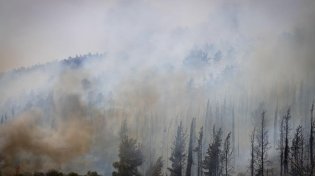 שריפות הענק גורמות לביטול רוב אירועי יום העצמאות ברחבי הארץ
