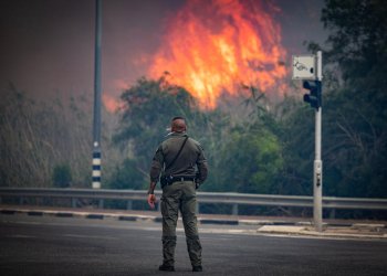השריפה הגדולה שידעה ישראל: צוותי הכיבוי ייאבקו אל תוך הלילה 