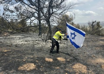 השריפה כילתה 20,000 דונמים; 21 לוחמי אש נפצעו קל