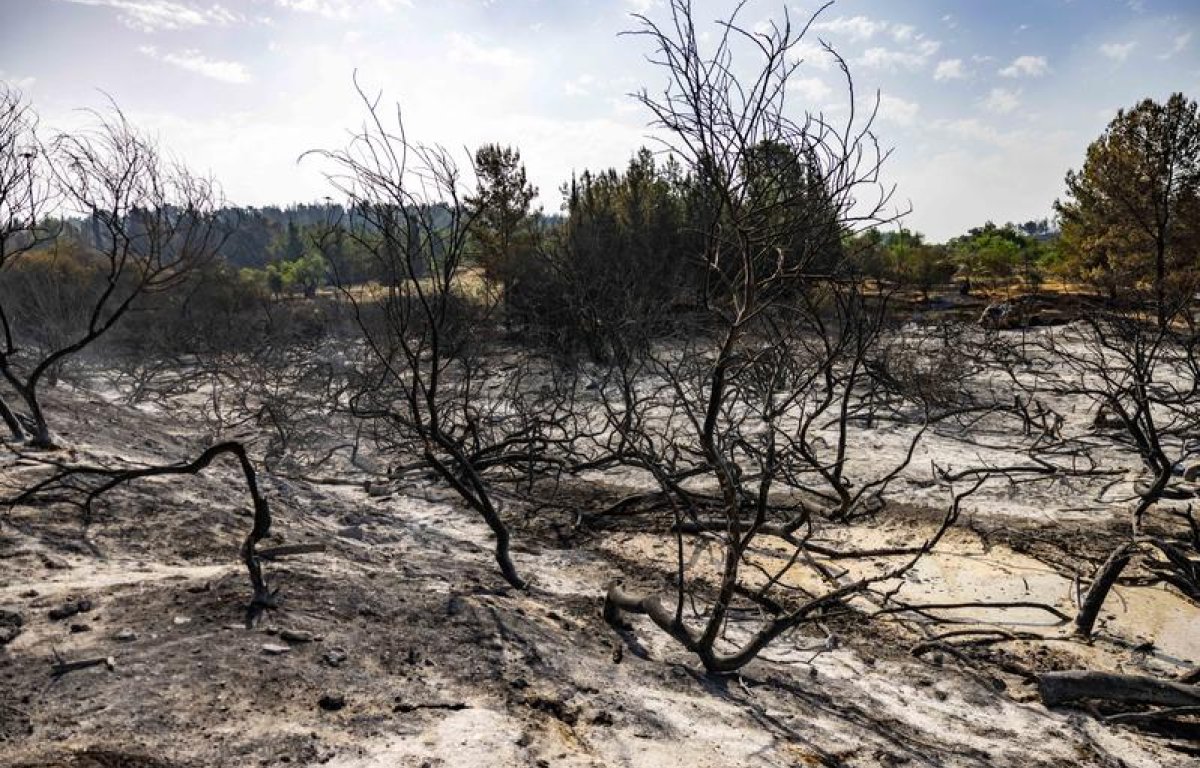 שיקום שריפות הענק עלול להגיע למיליארד שקלים