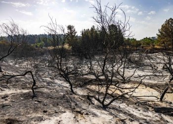 שיקום שריפות הענק עלול להגיע למיליארד שקלים