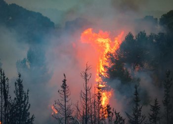לאחר יותר מיממה: הוכרזה שליטה על השריפה בהרי ירושלים