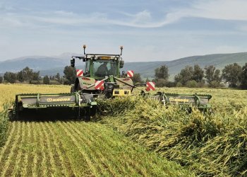יותר מחצי מגידולי השדה בעמק החולה לא יזרעו
