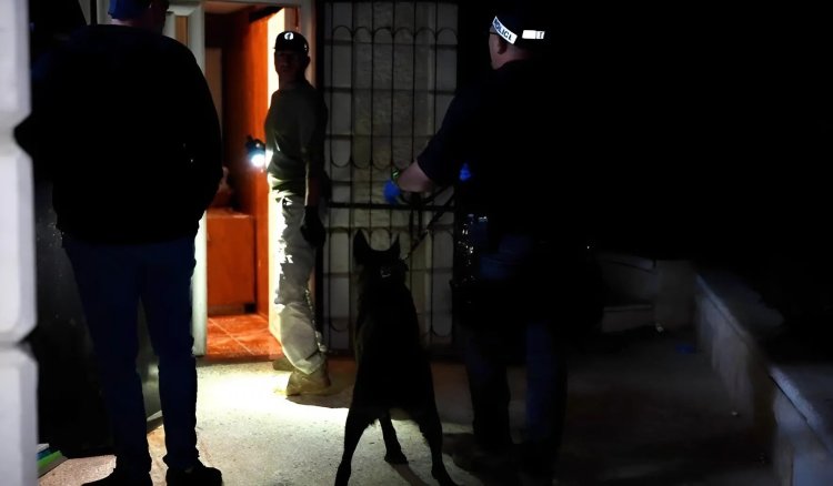 פעילות המשטרה הלילה (צילום: דוברות המשטרה )