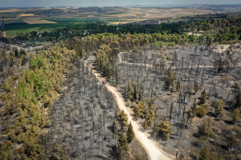 אזהרה חמורה משריפות ענק נוספות: "חייבים כוח אדם ואמצעים חדשים" אזהרה חמורה משריפות ענק נוספות: "חייבים כוח אדם ואמצעים חדשים"