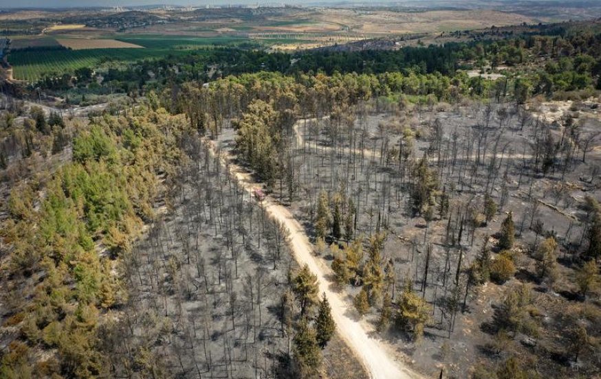 אזהרה חמורה משריפות ענק נוספות: "חייבים כוח אדם ואמצעים חדשים"