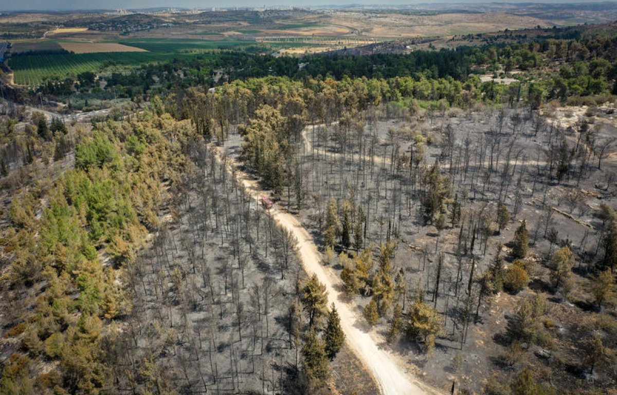 אזהרה חמורה משריפות ענק נוספות: "חייבים כוח אדם ואמצעים חדשים" אזהרה חמורה משריפות ענק נוספות: "חייבים כוח אדם ואמצעים חדשים"
