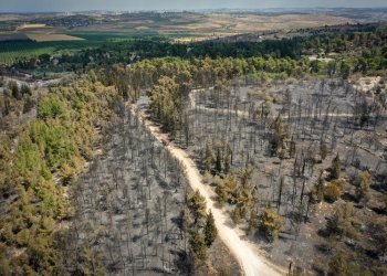 אזהרה חמורה משריפות ענק נוספות: "חייבים כוח אדם ואמצעים חדשים" אזהרה חמורה משריפות ענק נוספות: "חייבים כוח אדם ואמצעים חדשים"