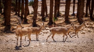 תחזית מזג האוויר: היום ובשבת קודש יהיה נעים, אבל בראשון - החום מגיע