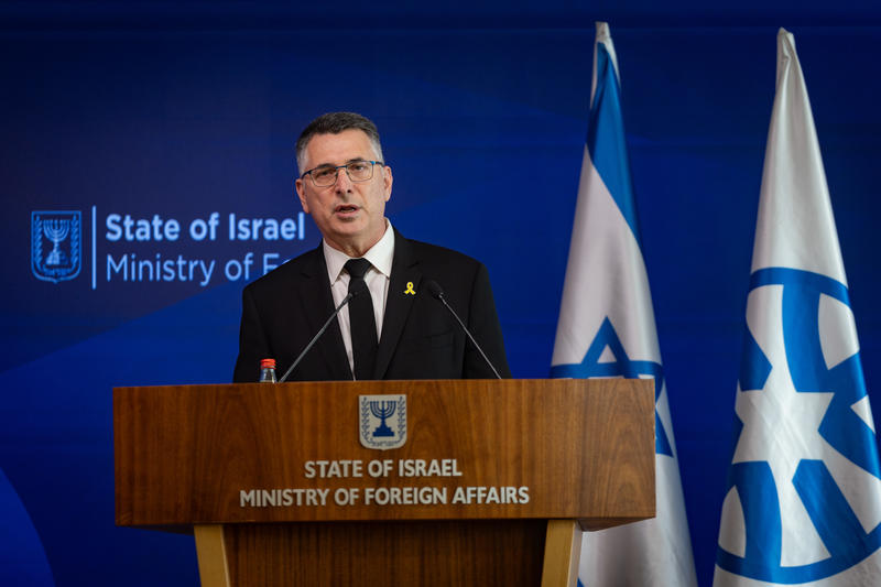 שר החוץ: "העולם מבין שאנחנו תורמים לביטחון המזרח התיכון ואירופה"