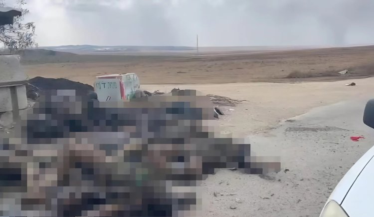 "נשארנו ארבעה לוחמים מול עשרות מחבלים": קרב ההישרדות של כוחות הימ"מ המחבלים המחוסלים מ"חץ שחור". (צילום: דוברות המשטרה)