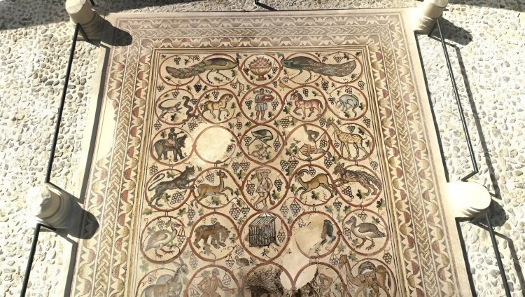 בן 1,600 שנה: פסיפס עתיק ומרהיב בעוטף עזה נחשף לציבור הפסיפס שנחשף לציבור. צילום: אמיל אלג'ם, רשות העתיקות