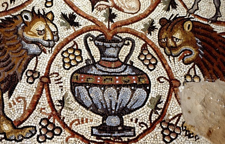 בן 1,600 שנה: פסיפס עתיק ומרהיב בעוטף עזה נחשף לציבור הפסיפס שנחשף לציבור. צילום: אמיל אלג'ם, רשות העתיקות