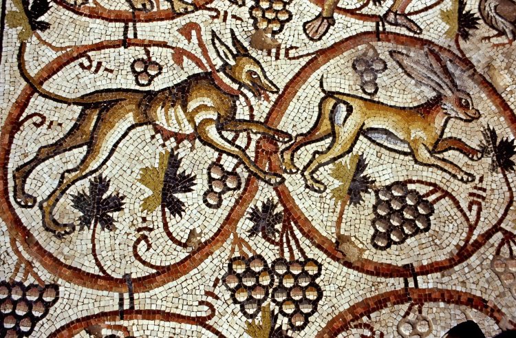 בן 1,600 שנה: פסיפס עתיק ומרהיב בעוטף עזה נחשף לציבור הפסיפס שנחשף לציבור. צילום: אמיל אלג'ם, רשות העתיקות