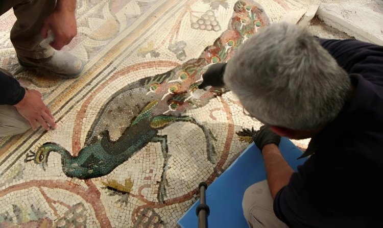 הפסיפס שנחשף לציבור. צילום: אמיל אלג'ם, רשות העתיקות