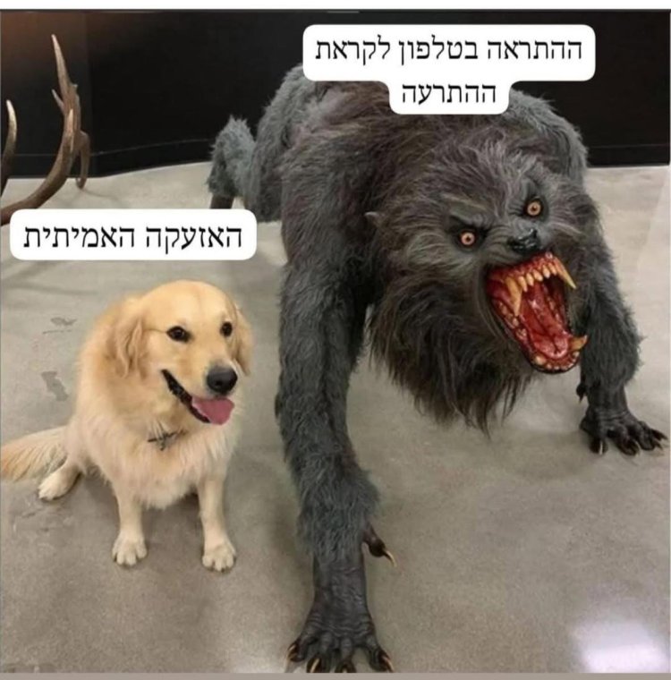 עם ישראל יצירתי: כשהאזעקות לא עוצרות את ההומור