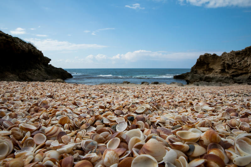 תחזית מזג האוויר: ויהיה לי עוד יותר חם, ועוד יותר חם