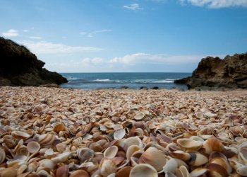 תחזית מזג האוויר: ויהיה לי עוד יותר חם, ועוד יותר חם