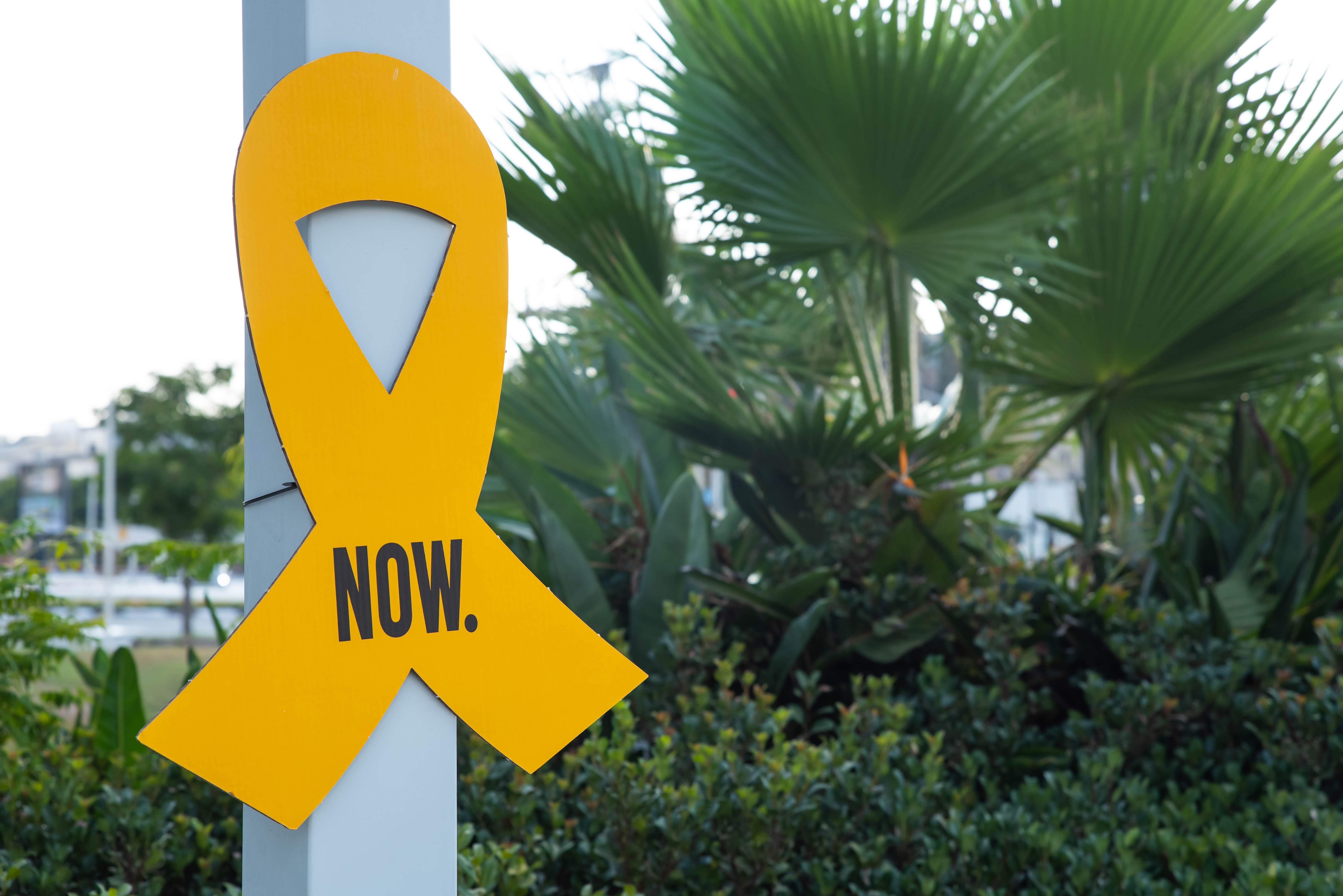 טראמפ: "יש התקדמות גדולה במו"מ בין ישראל לחמאס"