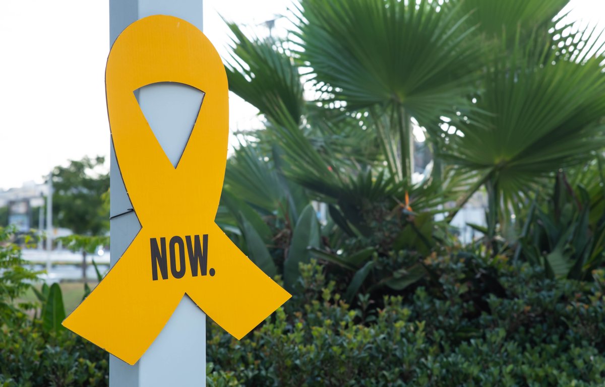 טראמפ: "יש התקדמות גדולה במו"מ בין ישראל לחמאס"