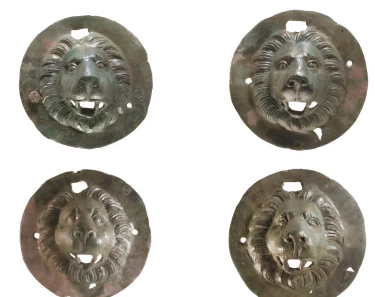 ארבעת ראשי האריות שנחשפו בחפירת רשות העתיקות. צילום: דפנה גזית, רשות העתיקות